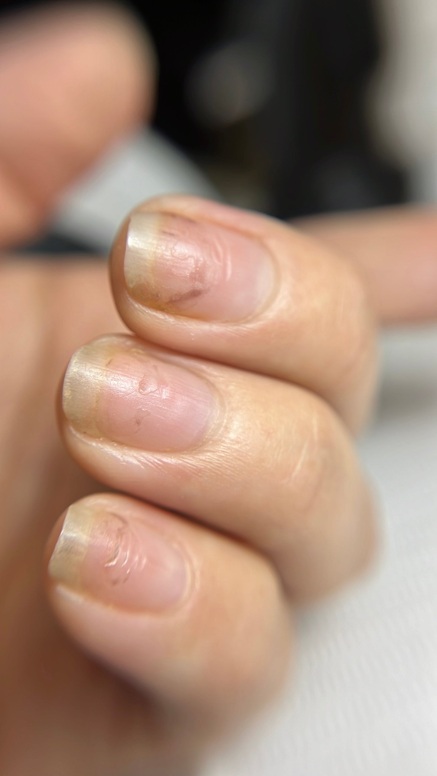 👩🏻💻Nail Architecture | Private Training | Two Days