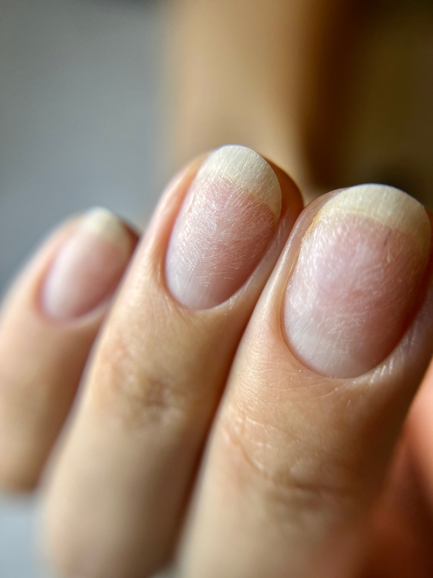 👩🏻‍💻Nail Architecture | Private Training | Two Days