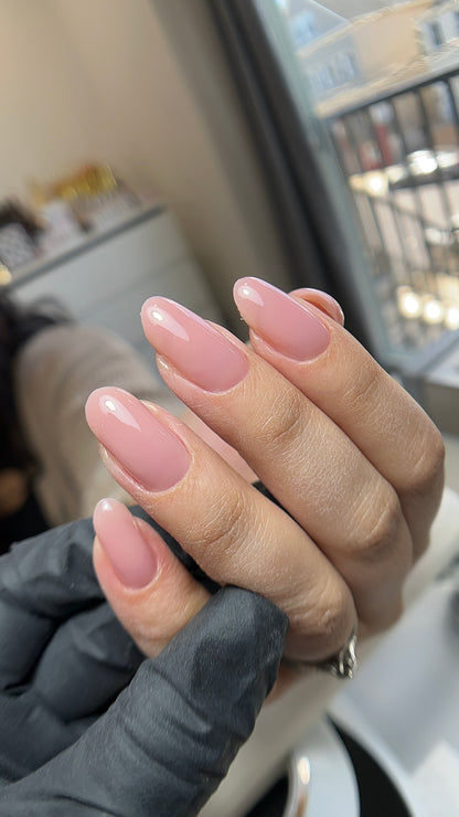 Macaroon Collection 🌸